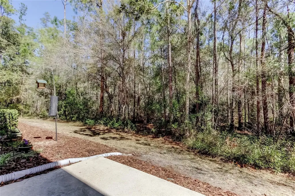 12660 Silverdale Street Tampa FL 33626