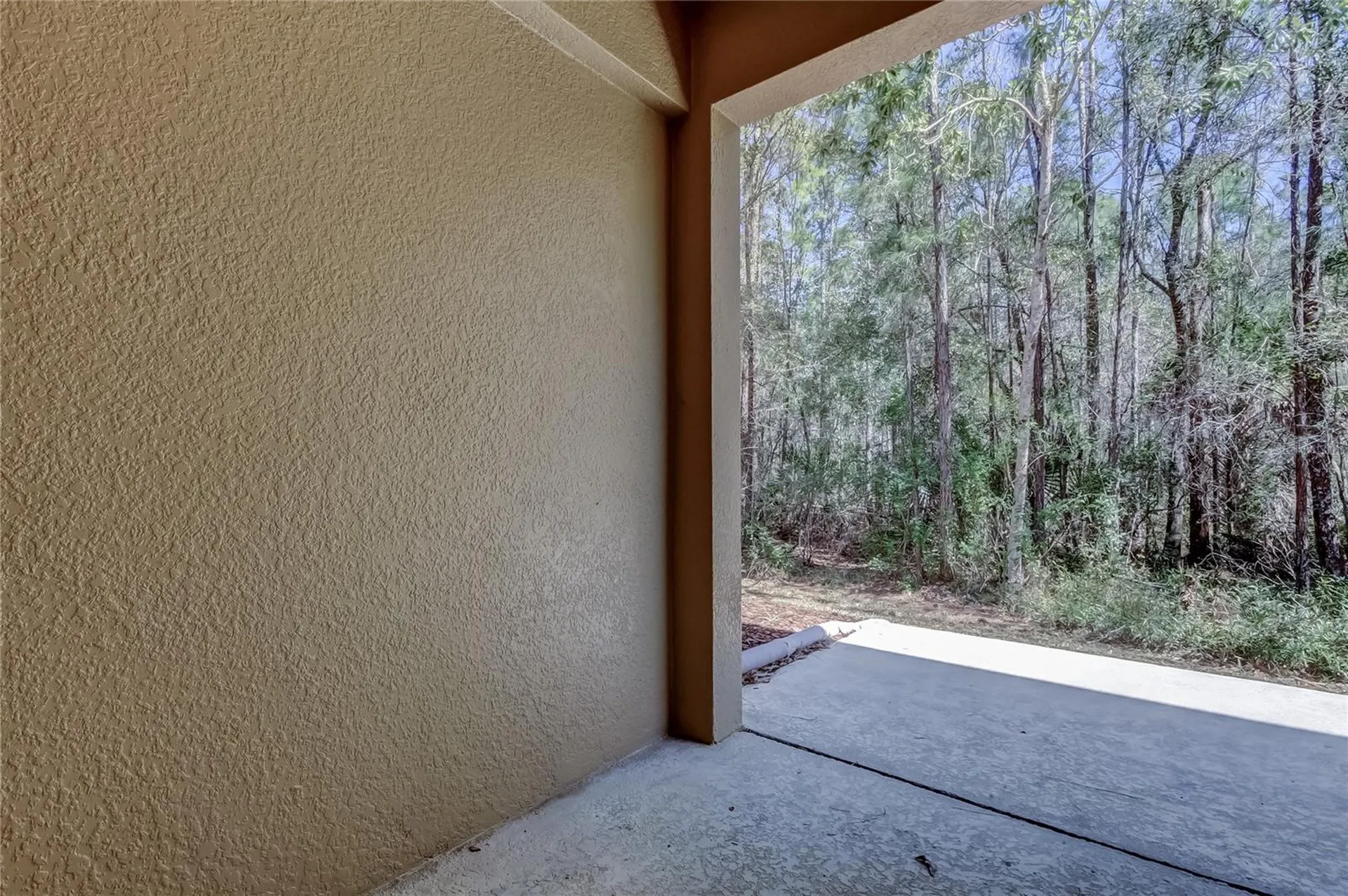 12660 Silverdale Street Tampa FL 33626