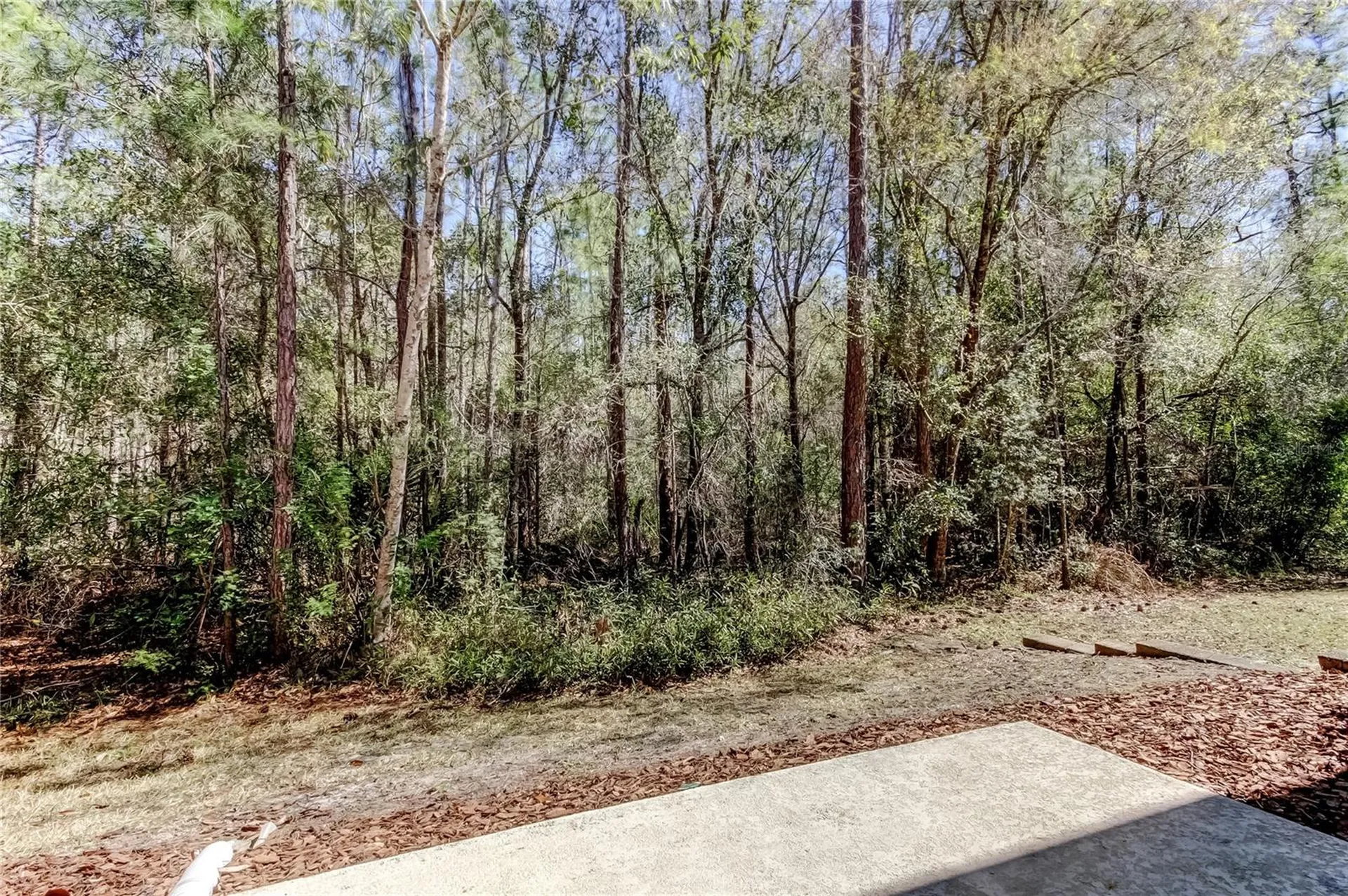12660 Silverdale Street Tampa FL 33626