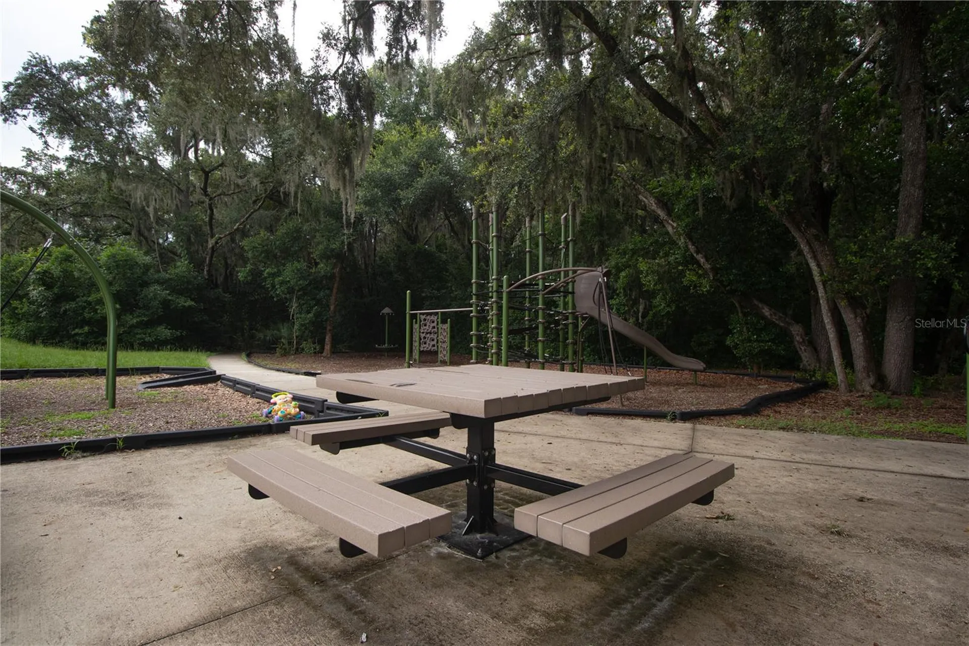 6426 Spider Lily Way New Port Richey FL 34653