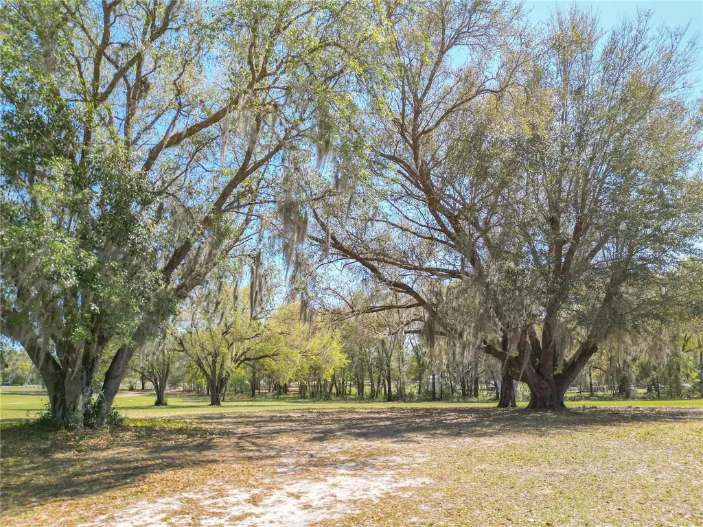 295 Locust Pass Ocala FL 34472