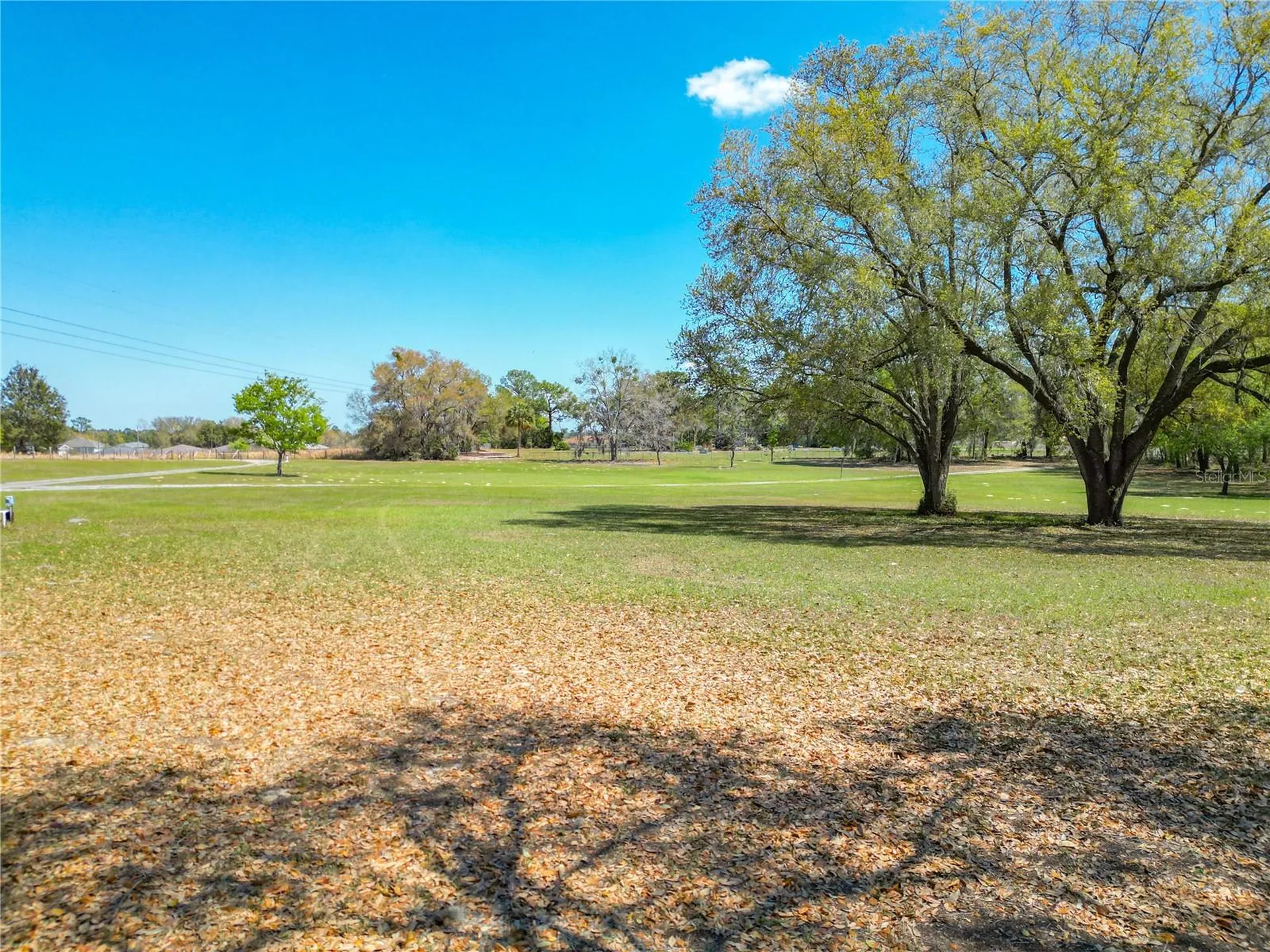 295 Locust Pass Ocala FL 34472