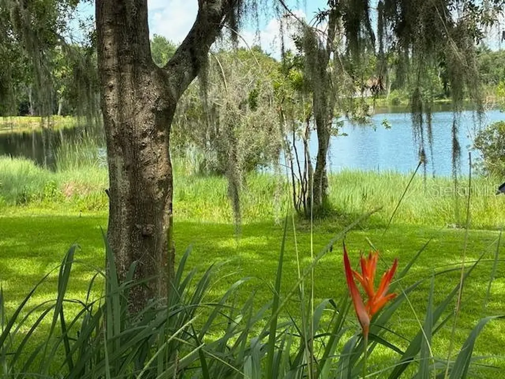 4850 Walnut Ridge Road Land O Lakes FL 34638