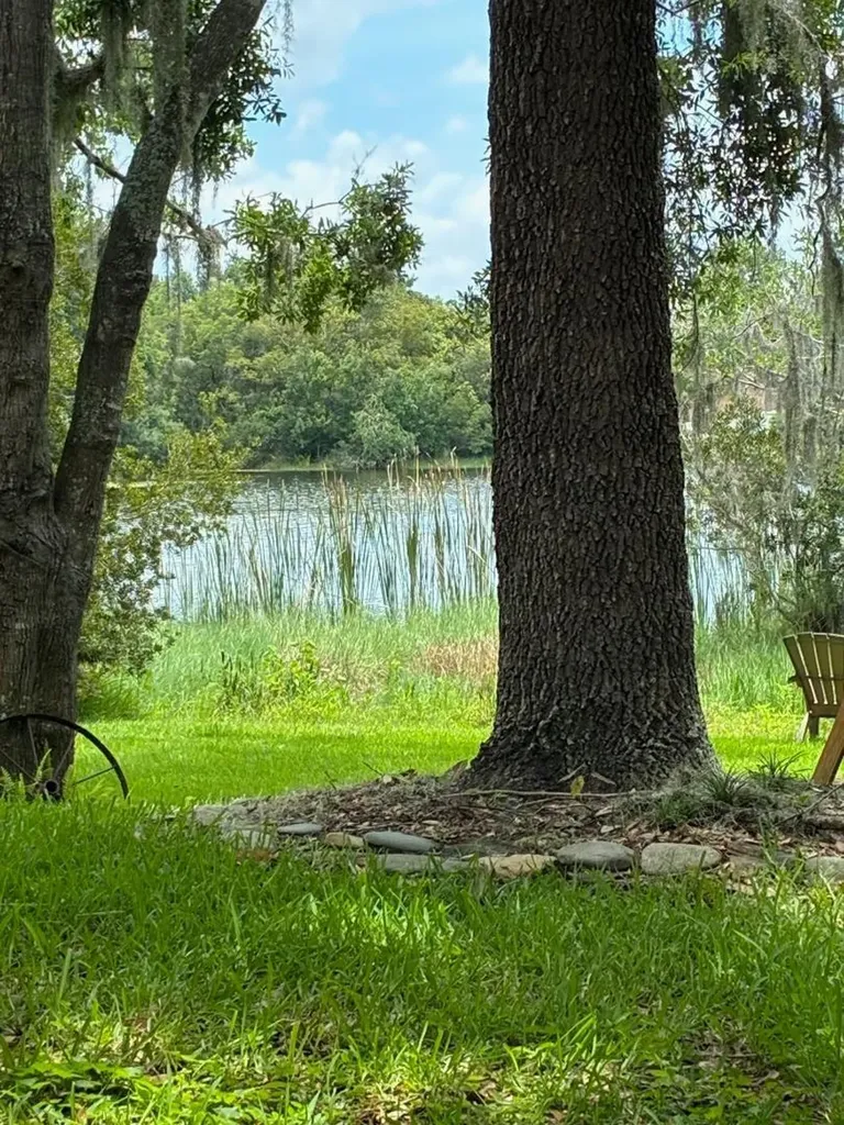 4850 Walnut Ridge Road Land O Lakes FL 34638