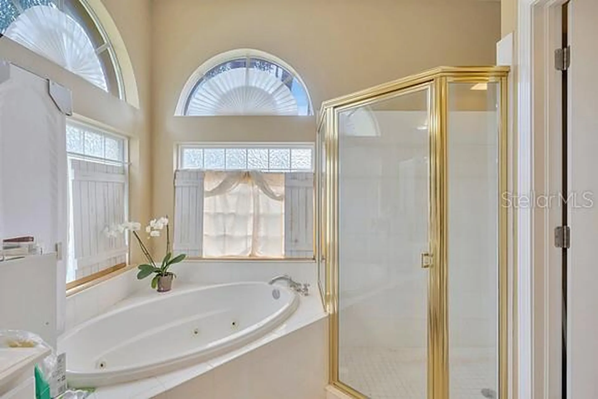 4850 Walnut Ridge Road Land O Lakes FL 34638