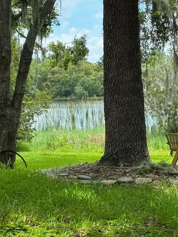 4850 Walnut Ridge Road Land O Lakes FL 34638