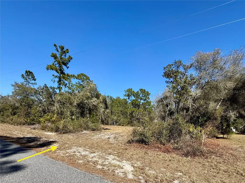 Lot 11 Poinciana Street Eustis FL 32736