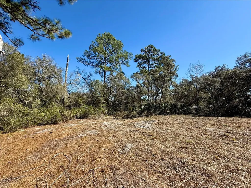 Lot 11 Poinciana Street Eustis FL 32736