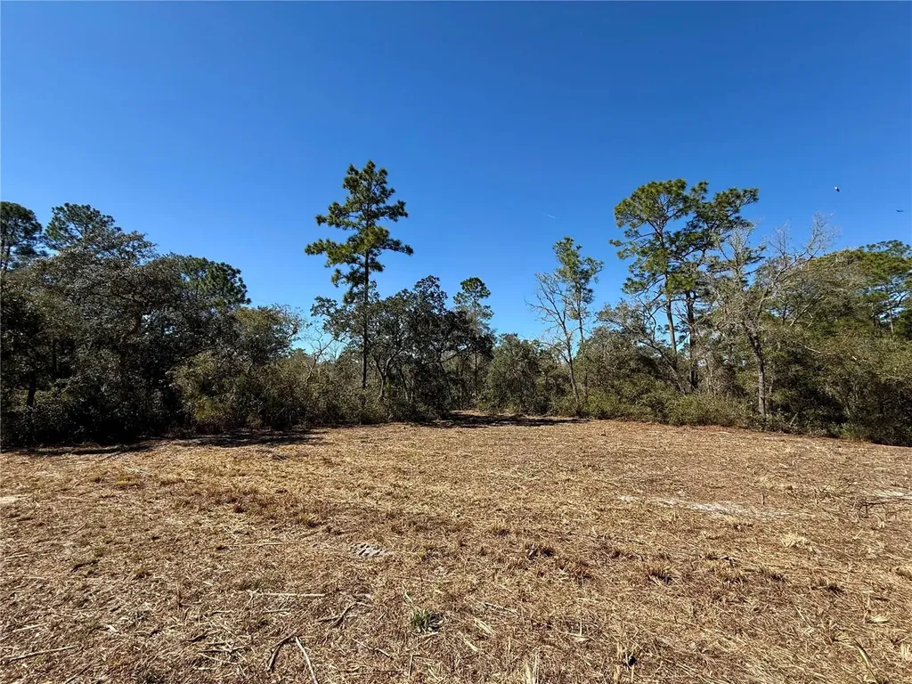 Lot 11 Poinciana Street Eustis FL 32736