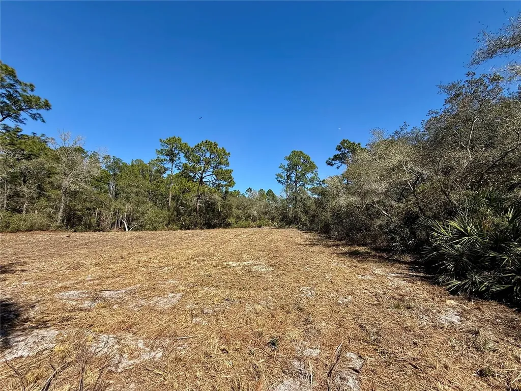 Lot 11 Poinciana Street Eustis FL 32736