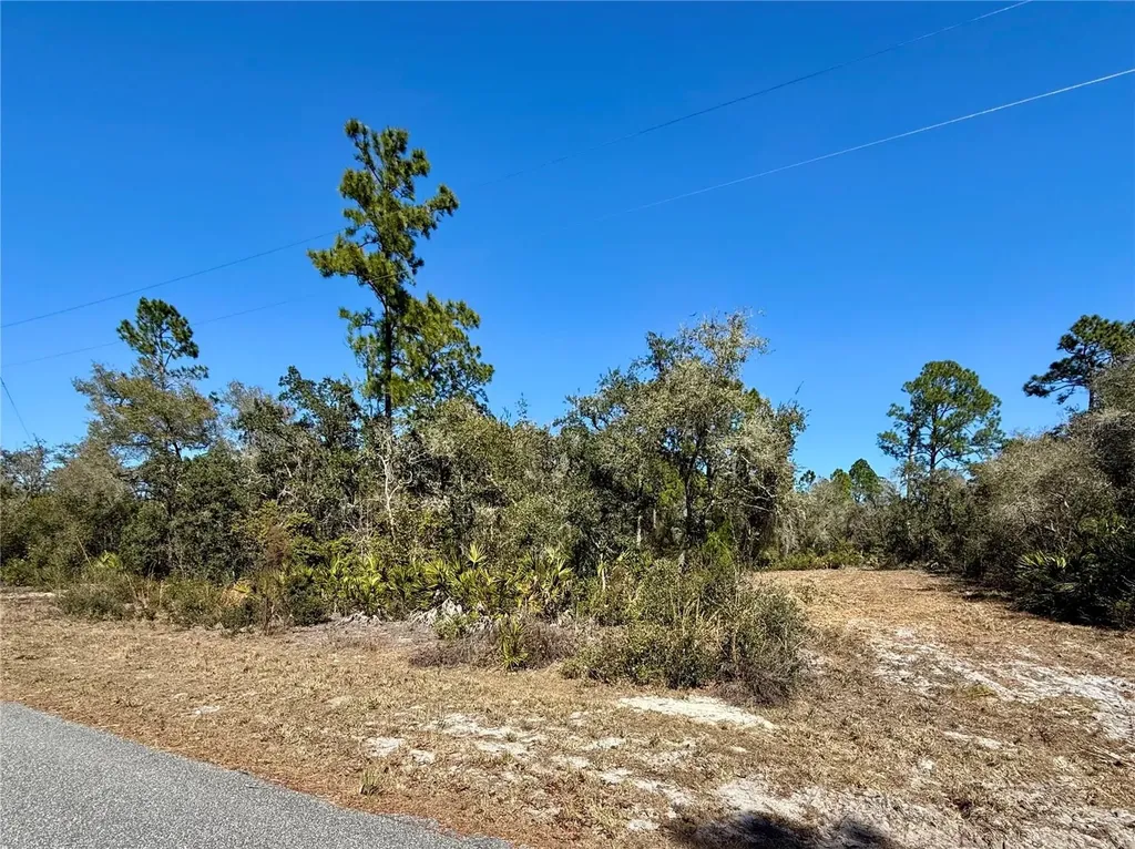 Lot 11 Poinciana Street Eustis FL 32736