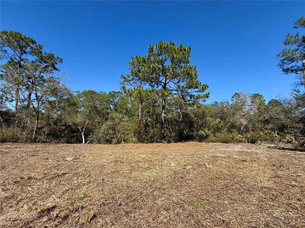 Lot 11 Poinciana Street Eustis FL 32736
