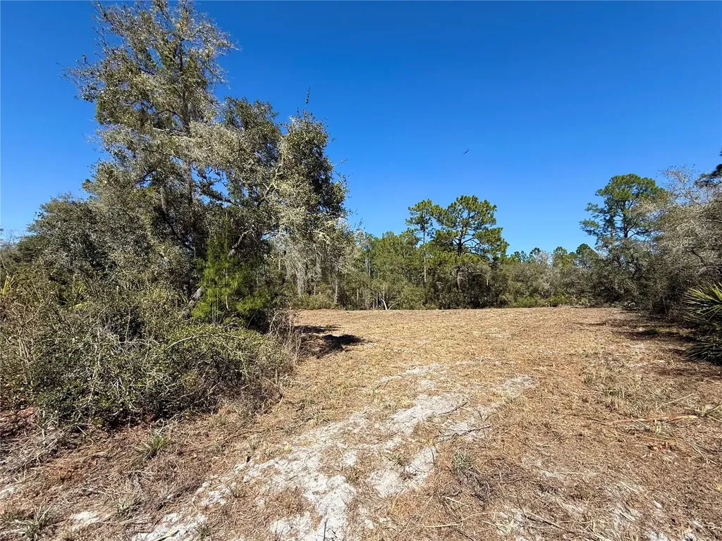 Lot 11 Poinciana Street Eustis FL 32736