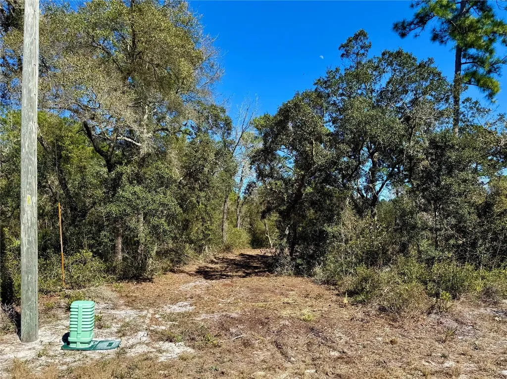 Lot 11 Poinciana Street Eustis FL 32736