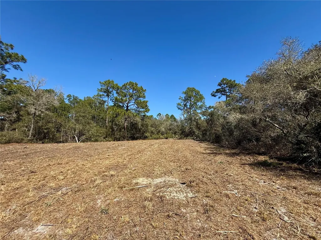 Lot 11 Poinciana Street Eustis FL 32736