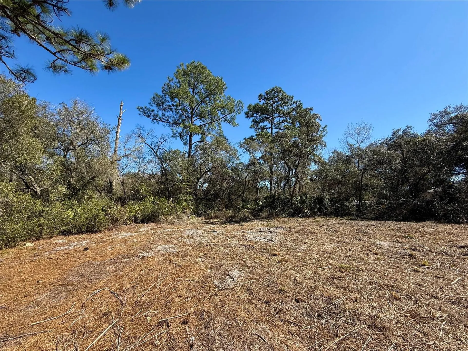 Lot 11 Poinciana Street Eustis FL 32736