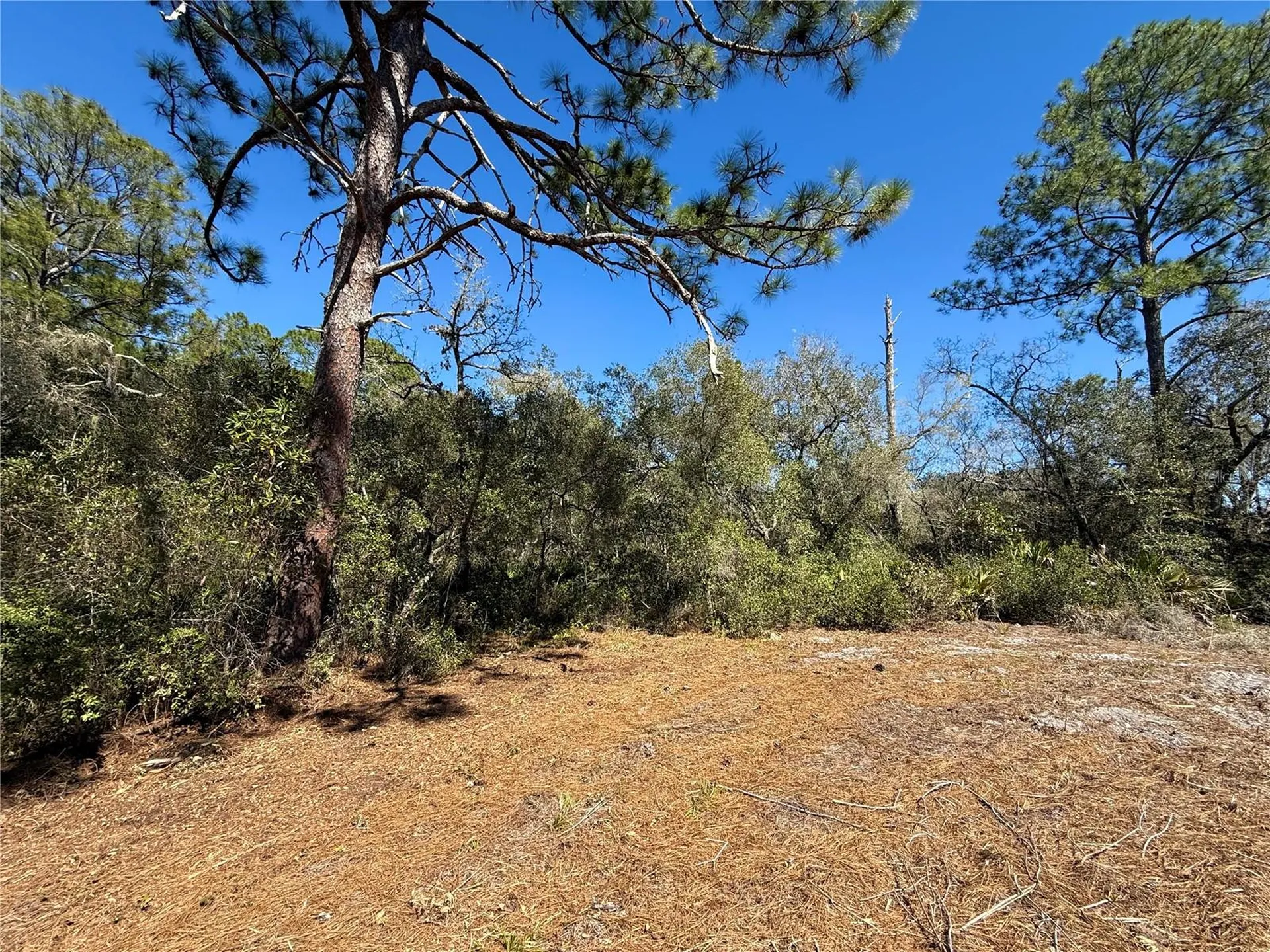 Lot 11 Poinciana Street Eustis FL 32736
