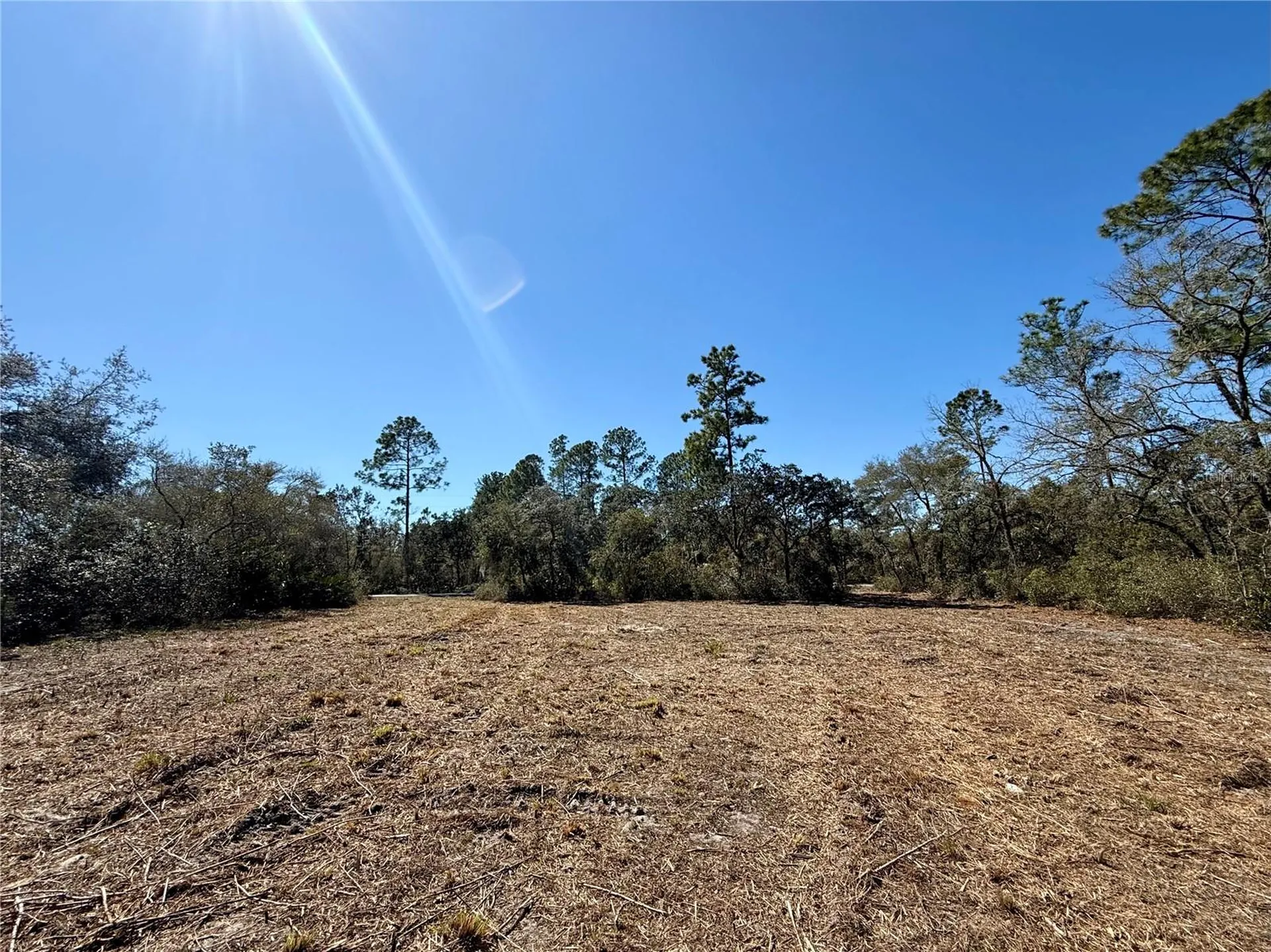 Lot 11 Poinciana Street Eustis FL 32736