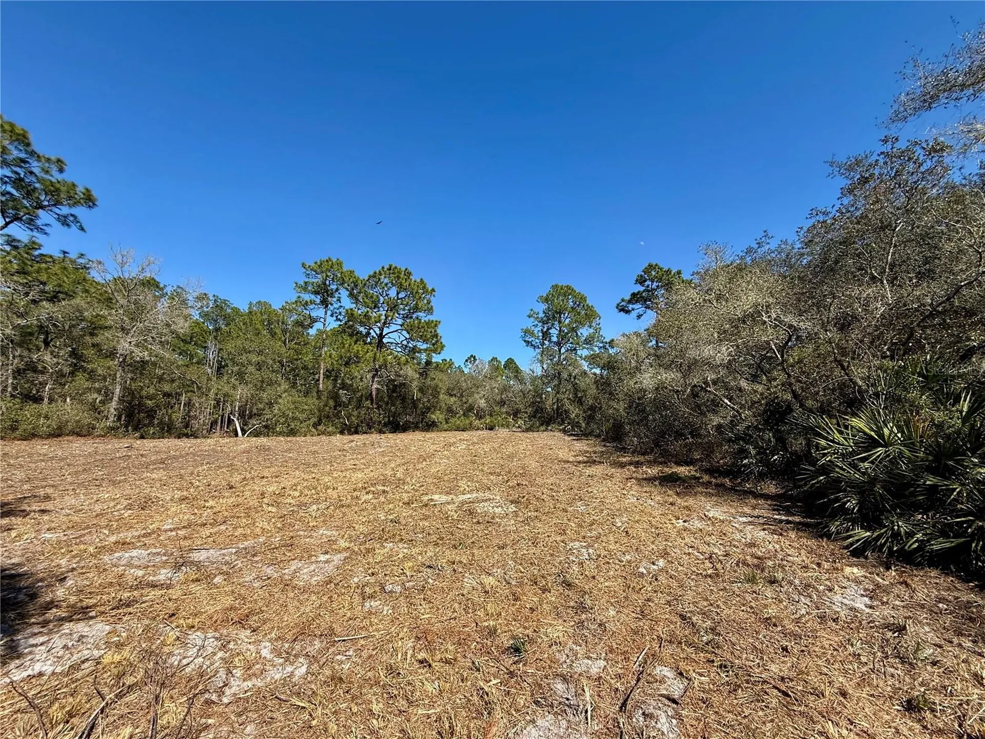 Lot 11 Poinciana Street Eustis FL 32736