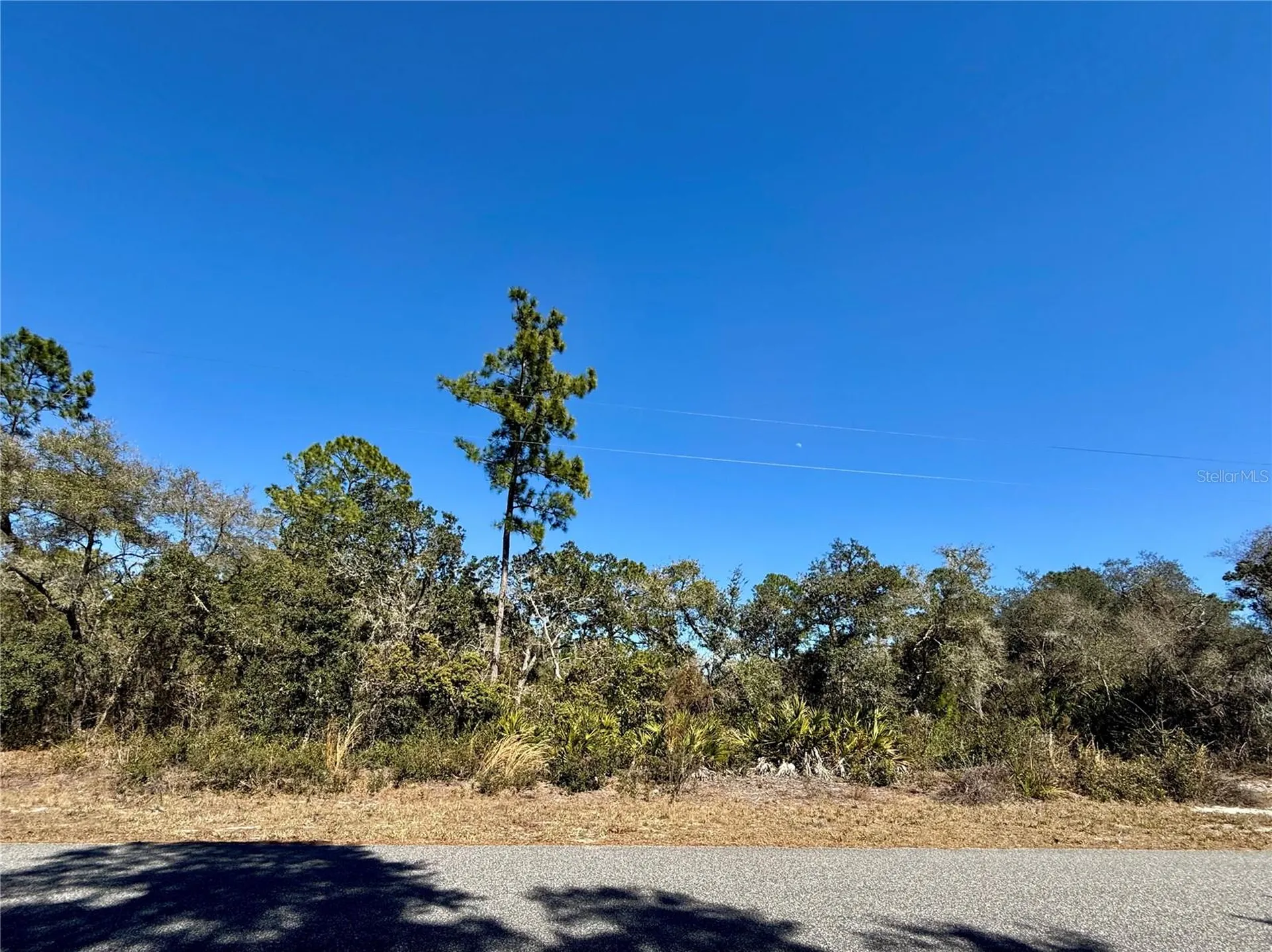 Lot 11 Poinciana Street Eustis FL 32736