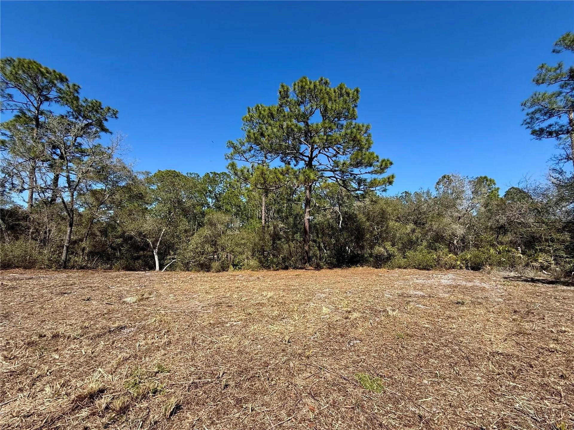 Lot 11 Poinciana Street Eustis FL 32736