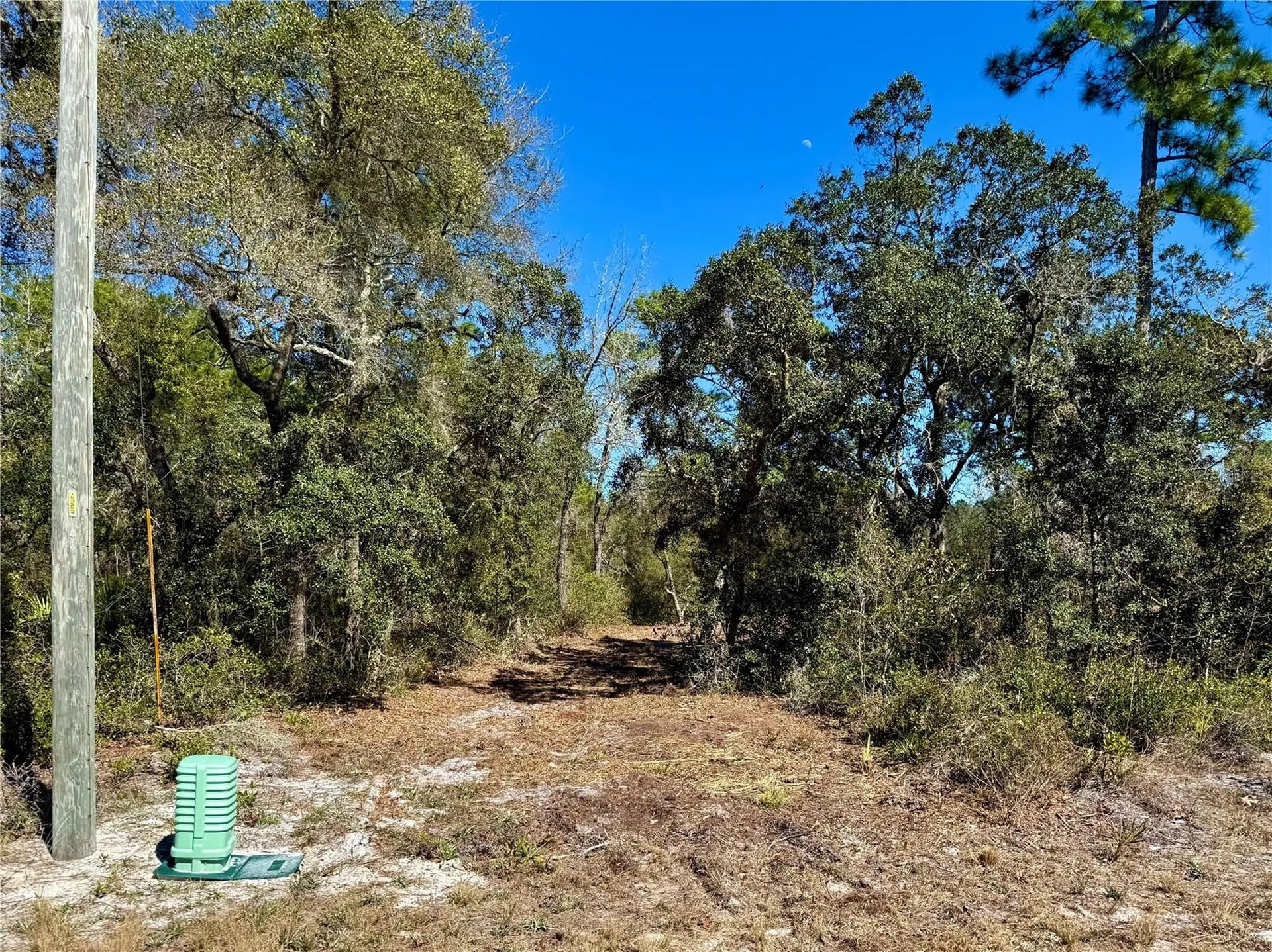 Lot 11 Poinciana Street Eustis FL 32736