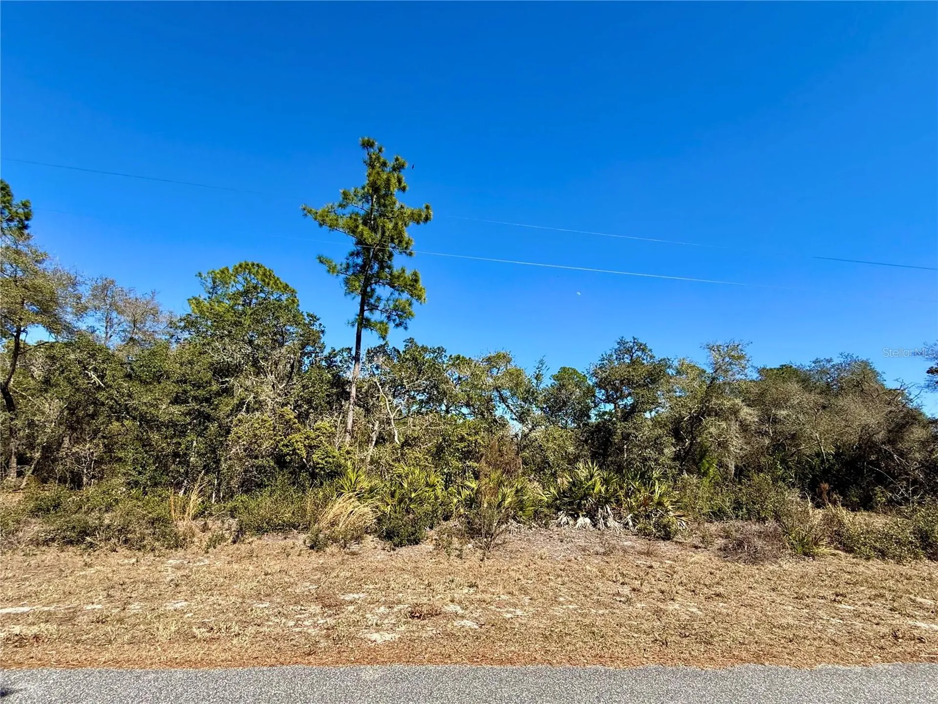 Lot 11 Poinciana Street Eustis FL 32736