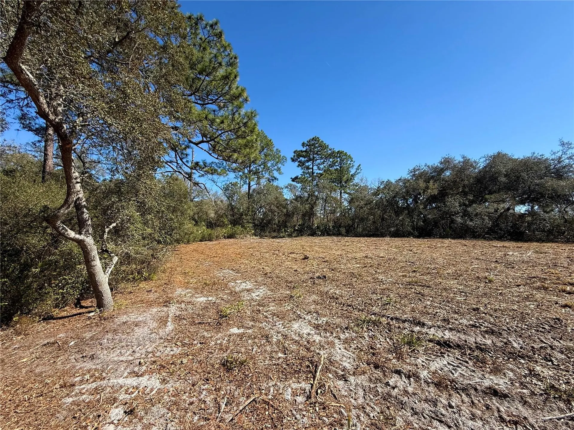 Lot 11 Poinciana Street Eustis FL 32736