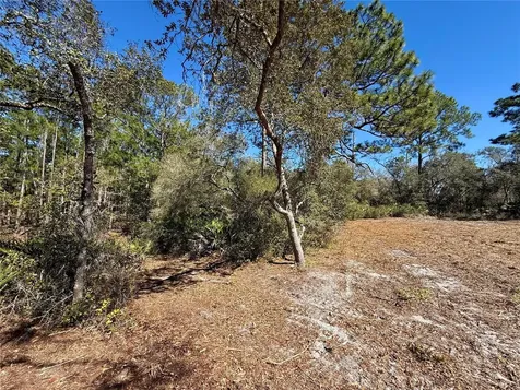 Lot 11 Poinciana Street Eustis FL 32736