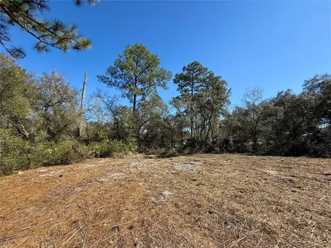 Lot 11 Poinciana Street Eustis FL 32736