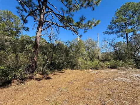 Lot 11 Poinciana Street Eustis FL 32736
