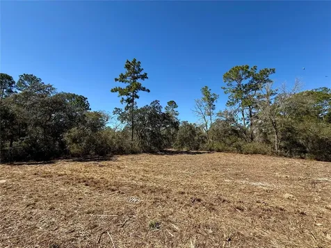 Lot 11 Poinciana Street Eustis FL 32736