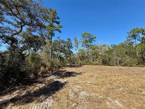 Lot 11 Poinciana Street Eustis FL 32736