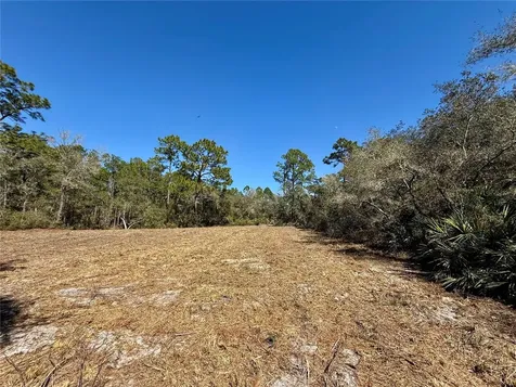 Lot 11 Poinciana Street Eustis FL 32736