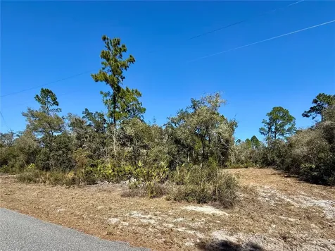 Lot 11 Poinciana Street Eustis FL 32736