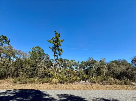 Lot 11 Poinciana Street Eustis FL 32736