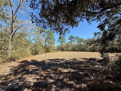 Lot 11 Poinciana Street Eustis FL 32736