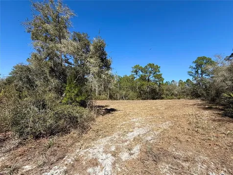 Lot 11 Poinciana Street Eustis FL 32736