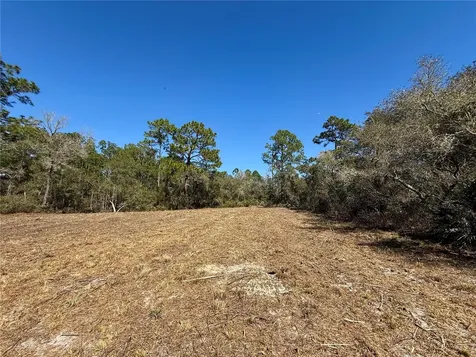 Lot 11 Poinciana Street Eustis FL 32736