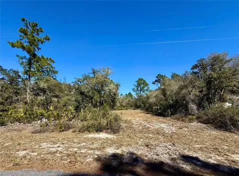 Lot 11 Poinciana Street Eustis FL 32736