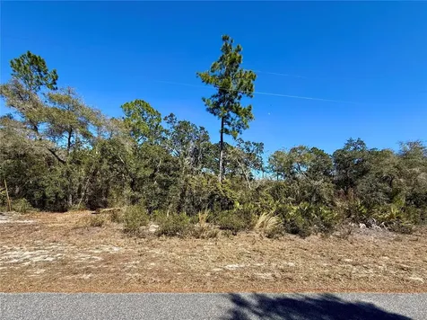 Lot 11 Poinciana Street Eustis FL 32736