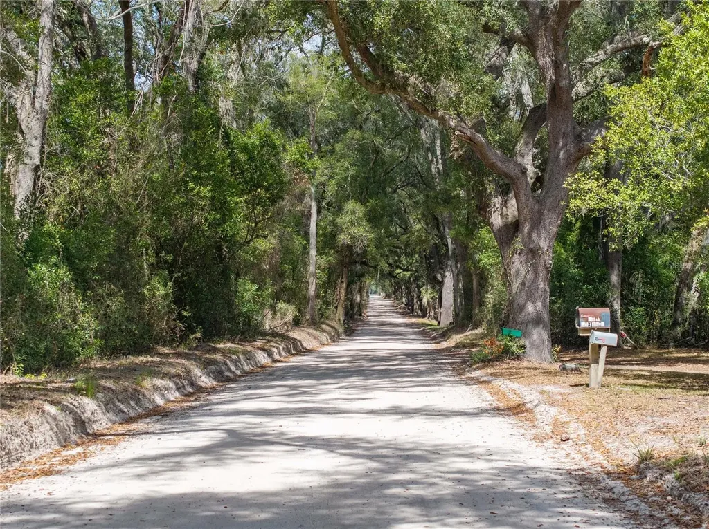 3139 SW Mauldin Avenue Lake City FL 32024