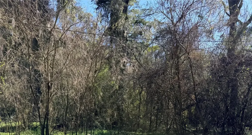 Tbd Platted Road Way Alachua FL 32615