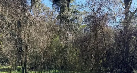 Tbd Platted Road Way Alachua FL 32615