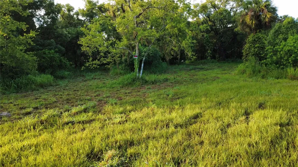 327 Beaverbrook Lane Oak Hill FL 32759