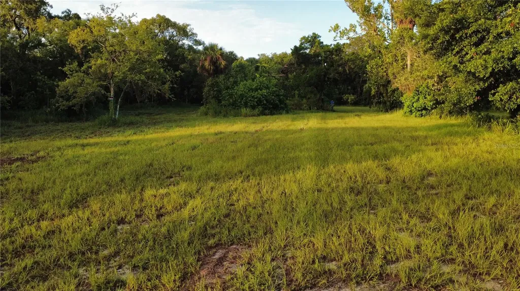 327 Beaverbrook Lane Oak Hill FL 32759