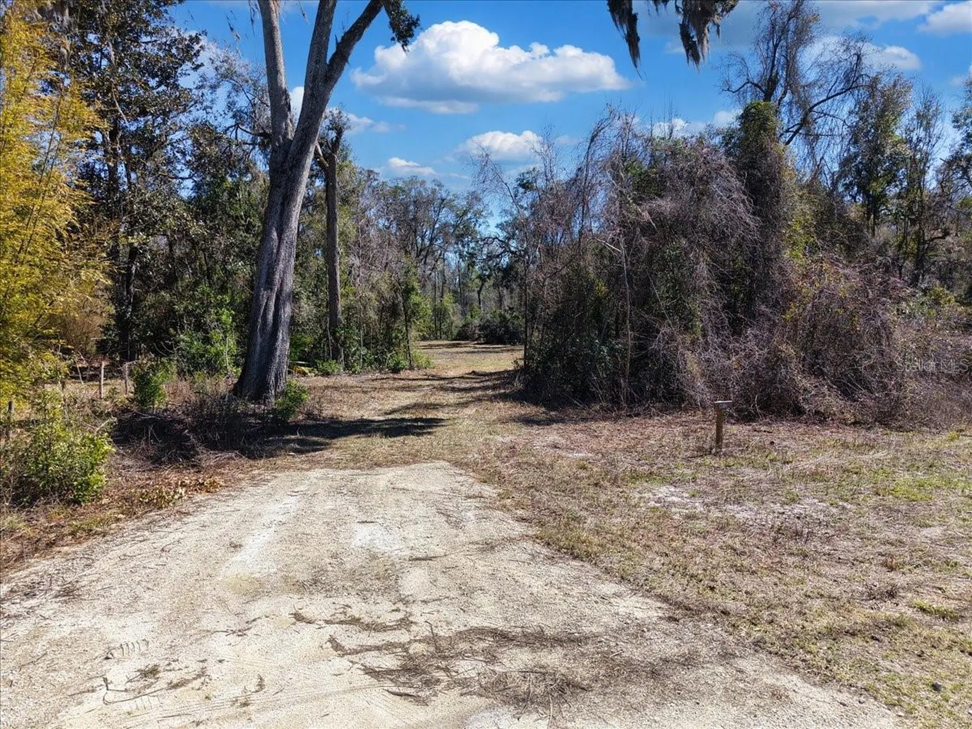 4912 NE Highway 349 Old Town FL 32680
