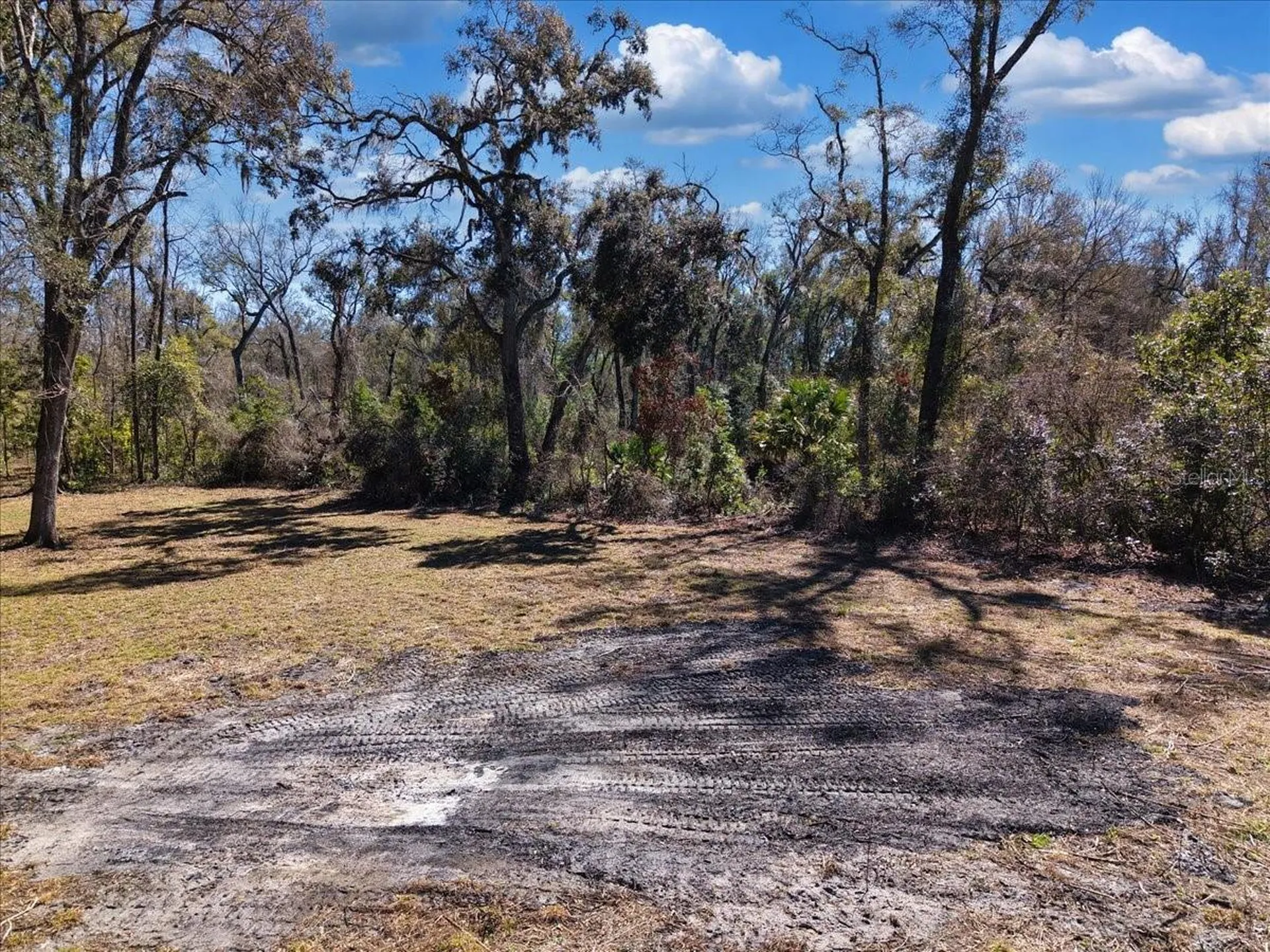 4912 NE Highway 349 Old Town FL 32680