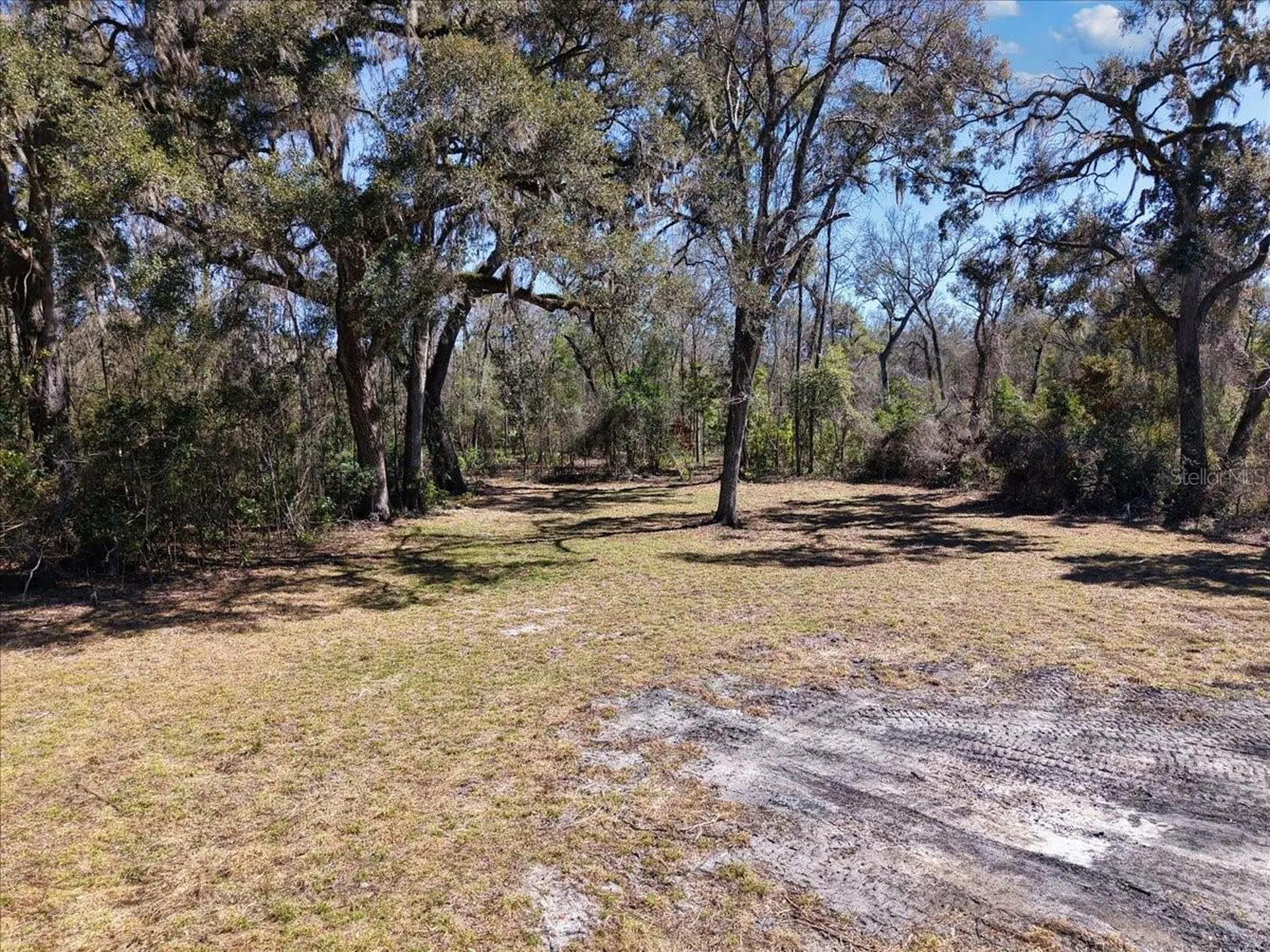 4912 NE Highway 349 Old Town FL 32680