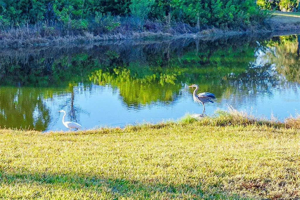 101 Byron Court Rotonda West FL 33947